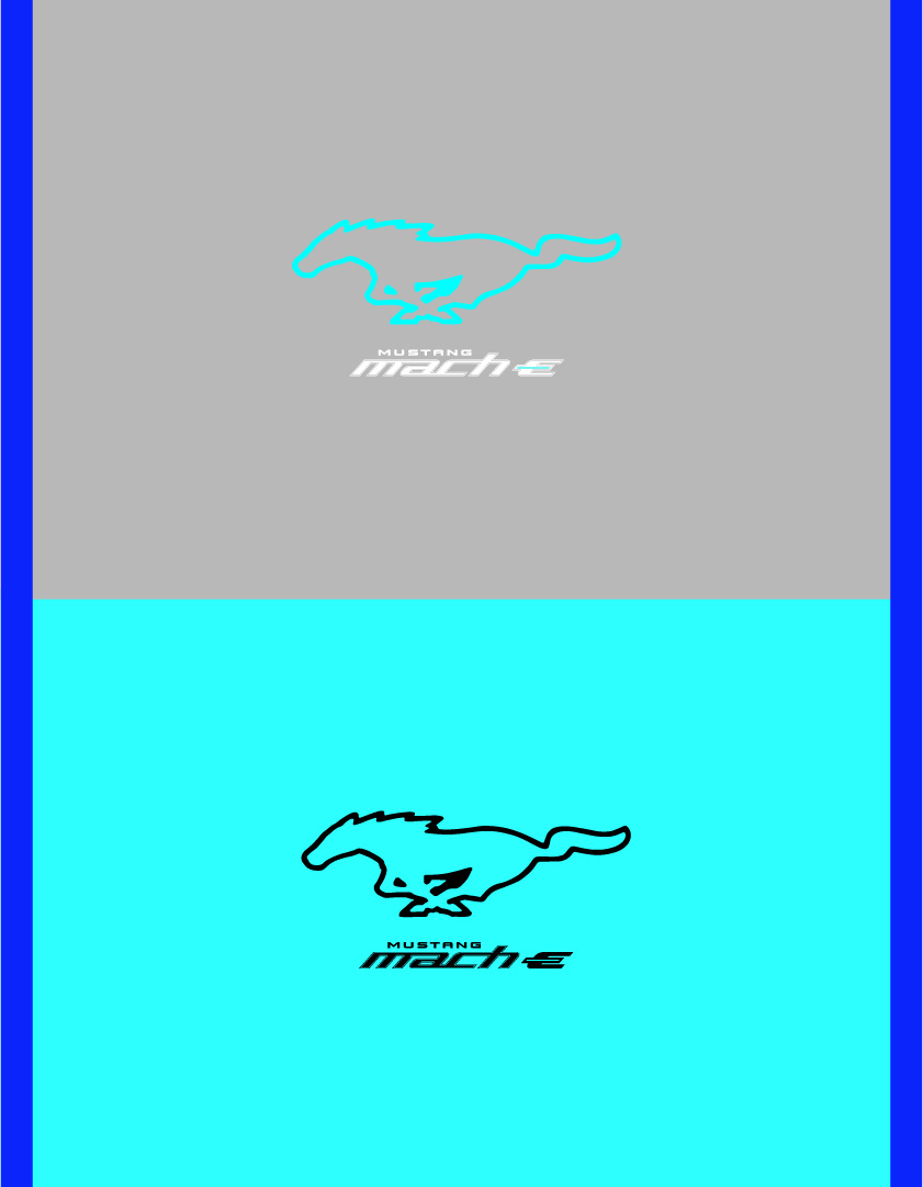 Mustang Mach-E merchandise overview