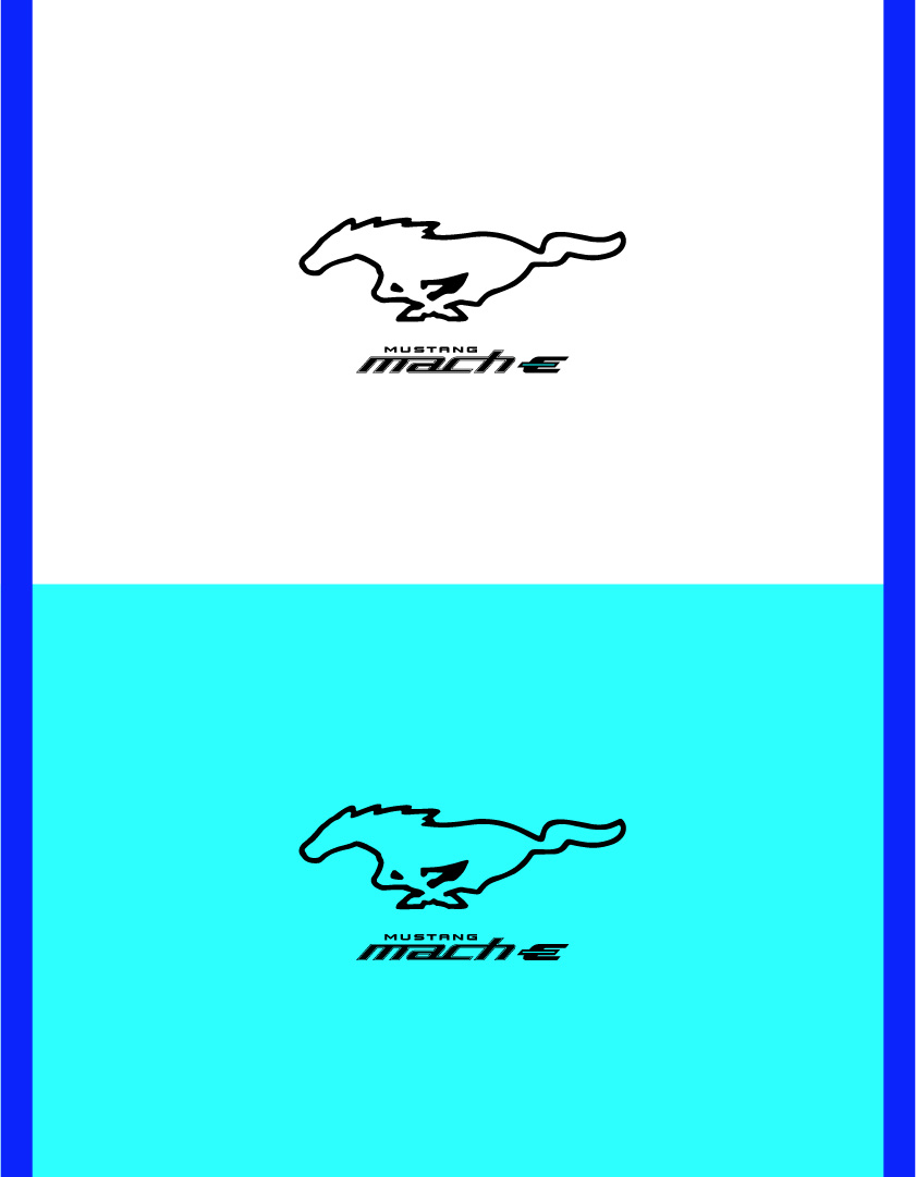 Mustang Mach-E bottle merchandise